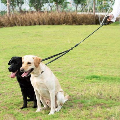 pet