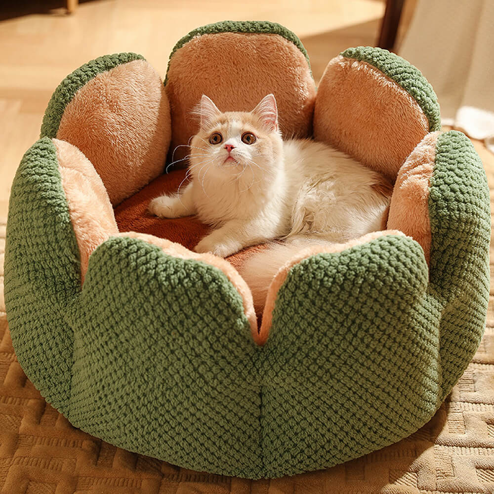 pet