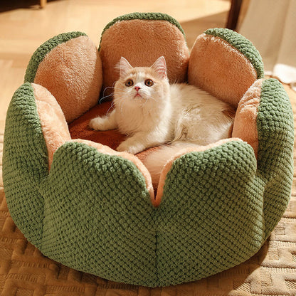 pet