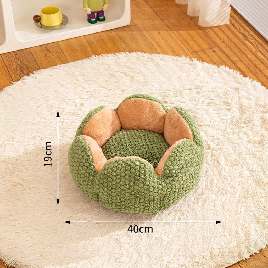 pet – 2