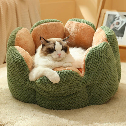 pet – 4