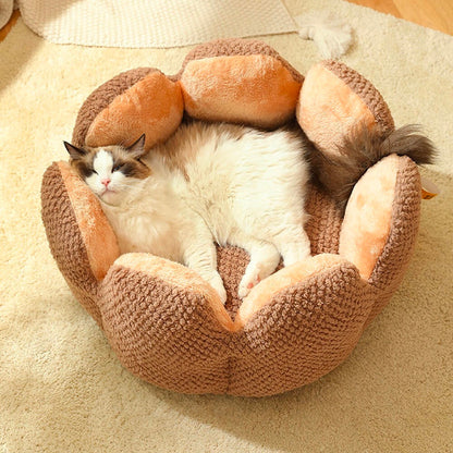 pet – 6
