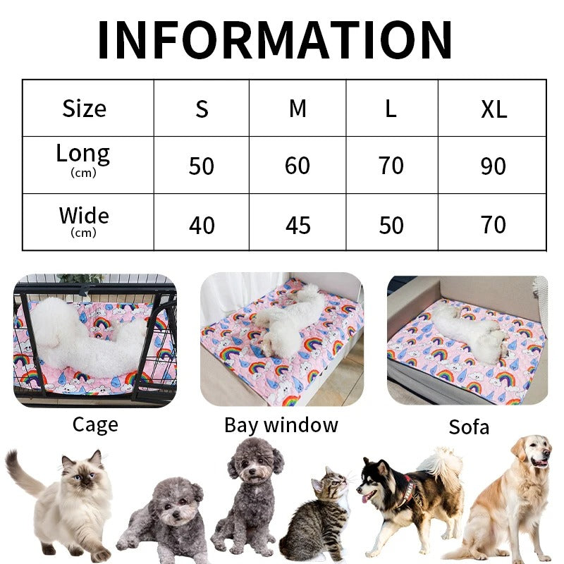 pet – 13