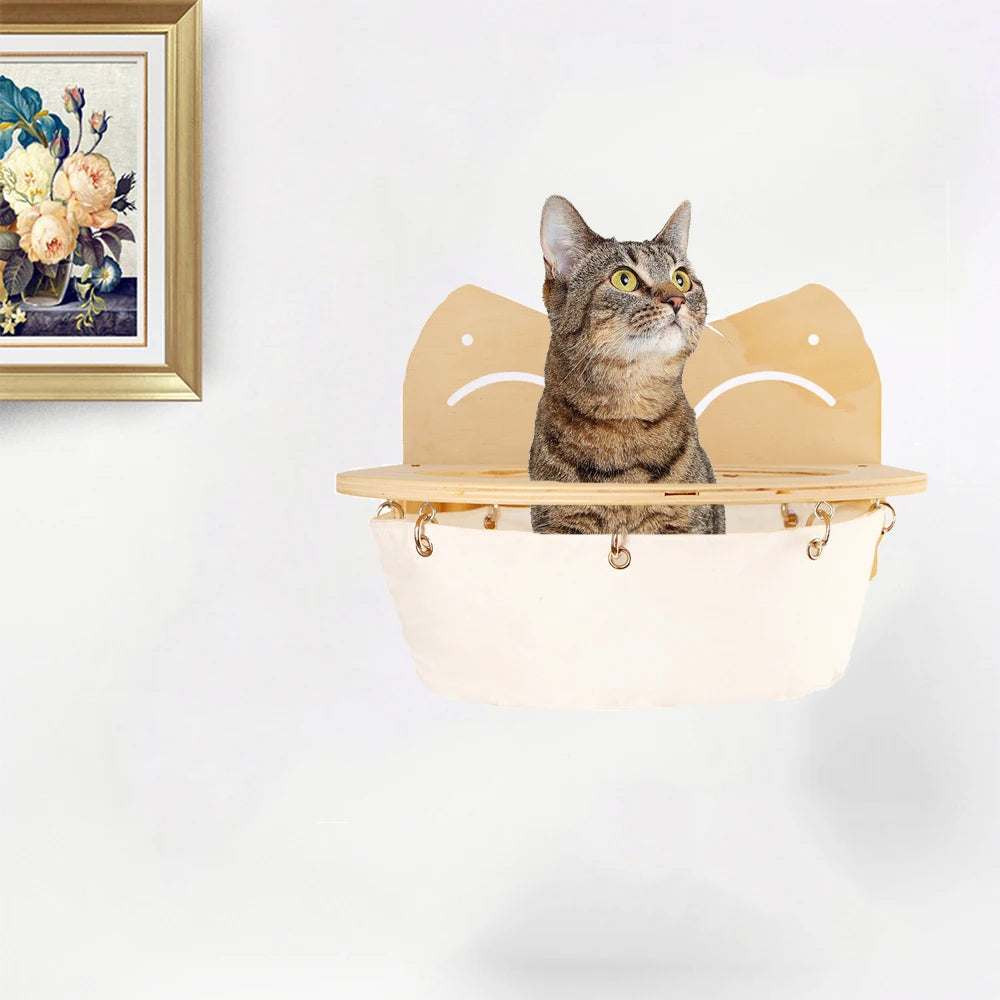 pet – 2