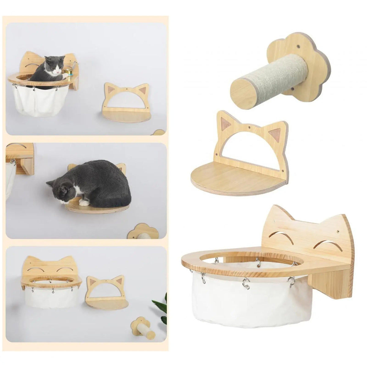 pet – 4