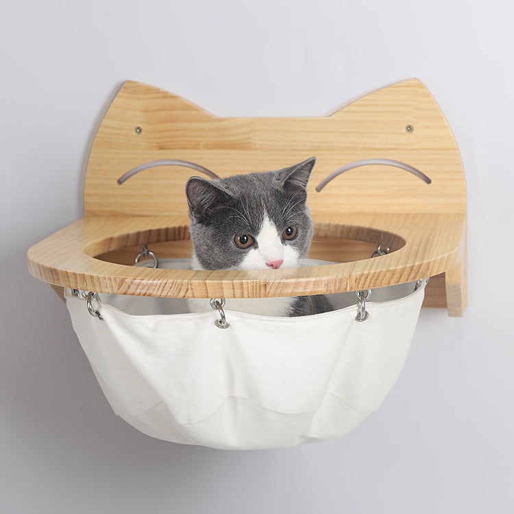 pet – 5
