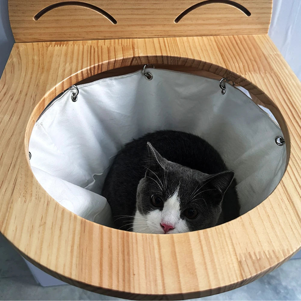 pet – 6