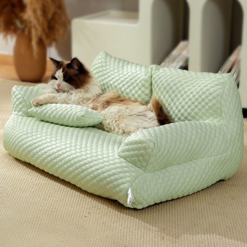 pet – 4