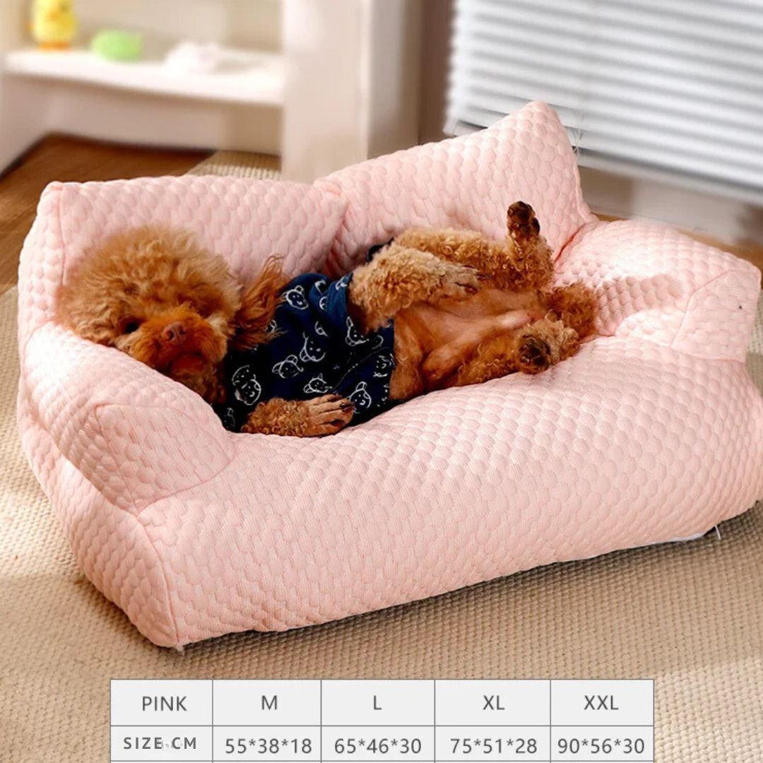 pet – 5