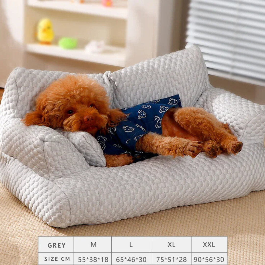 pet – 6