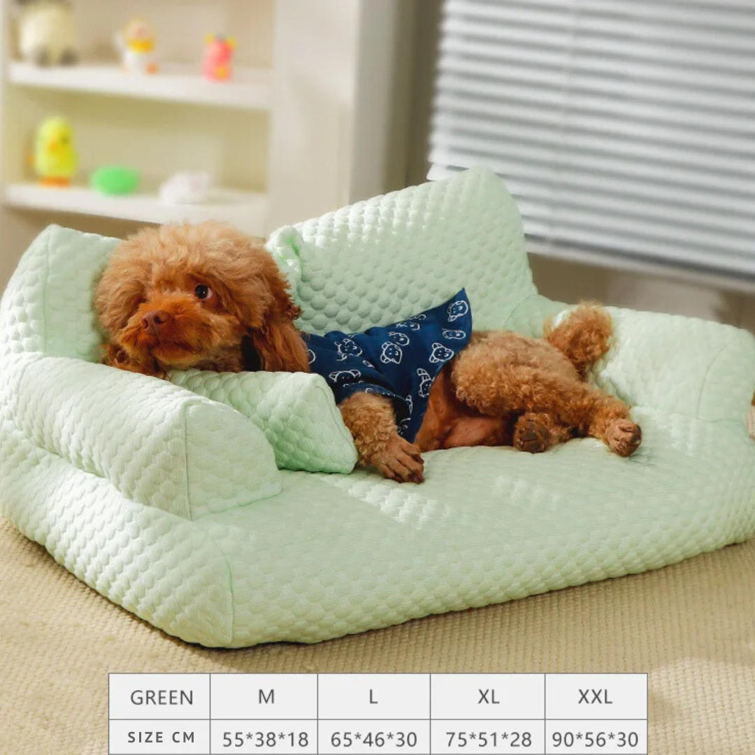 pet – 7