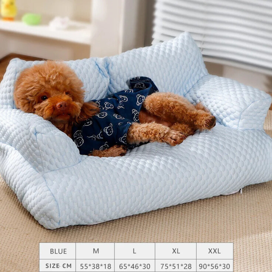 pet – 8