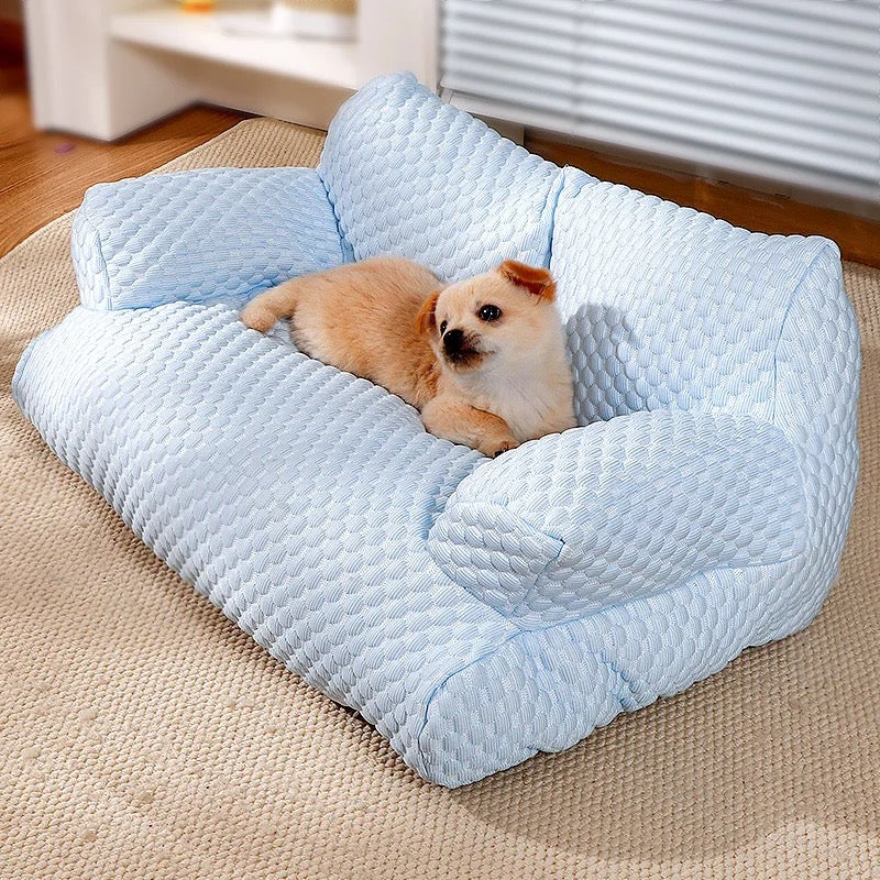 pet