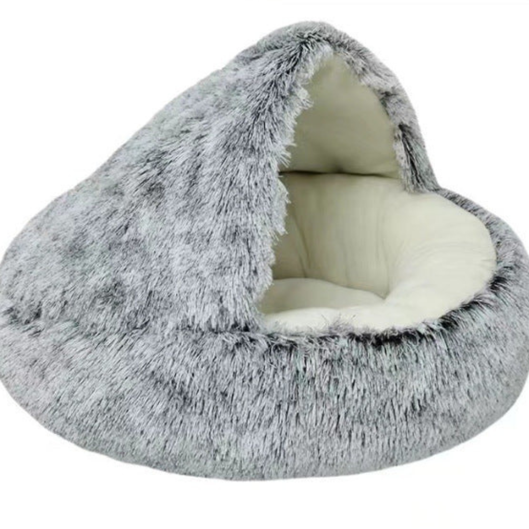 pet – 2