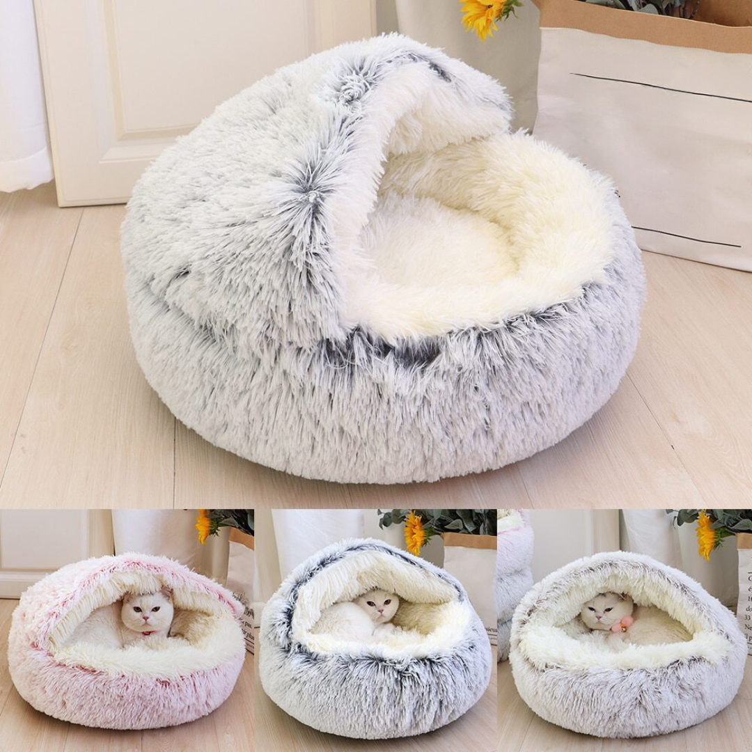 pet – 4