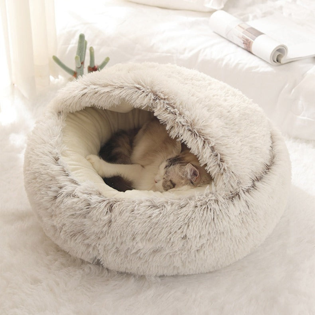 pet – 5