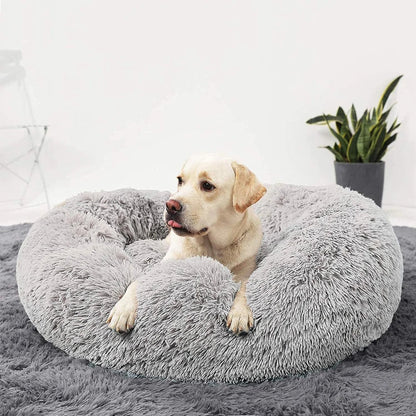 pet