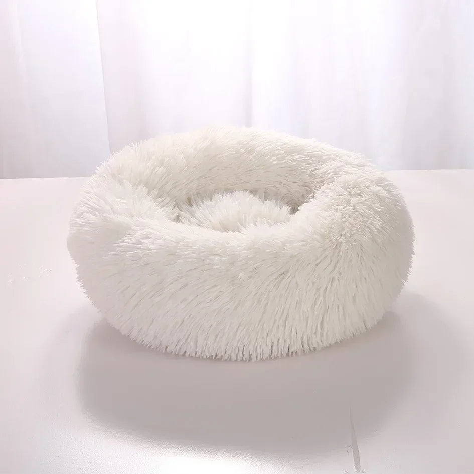 pet – 3