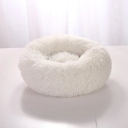 pet – 3
