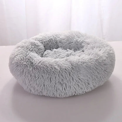 pet – 4