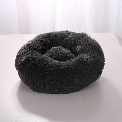 pet – 5