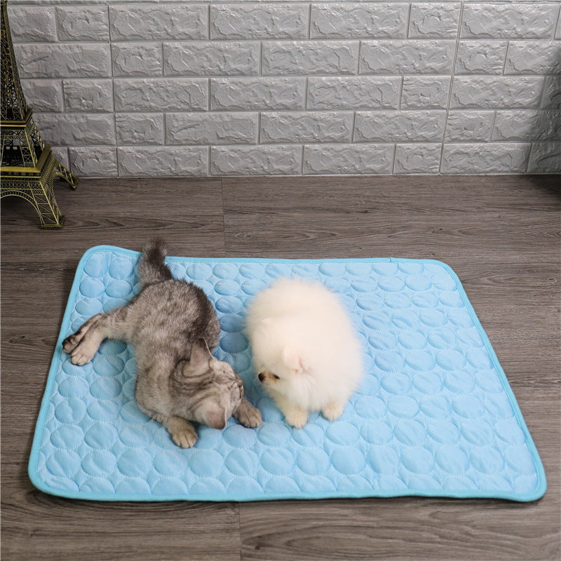 pet – 3