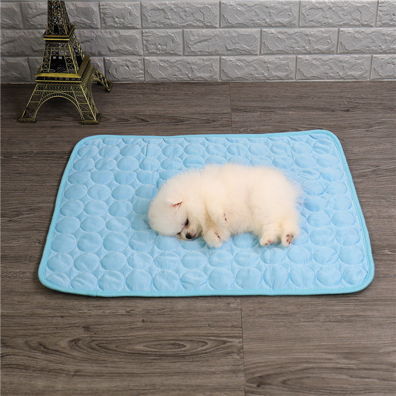 pet – 5