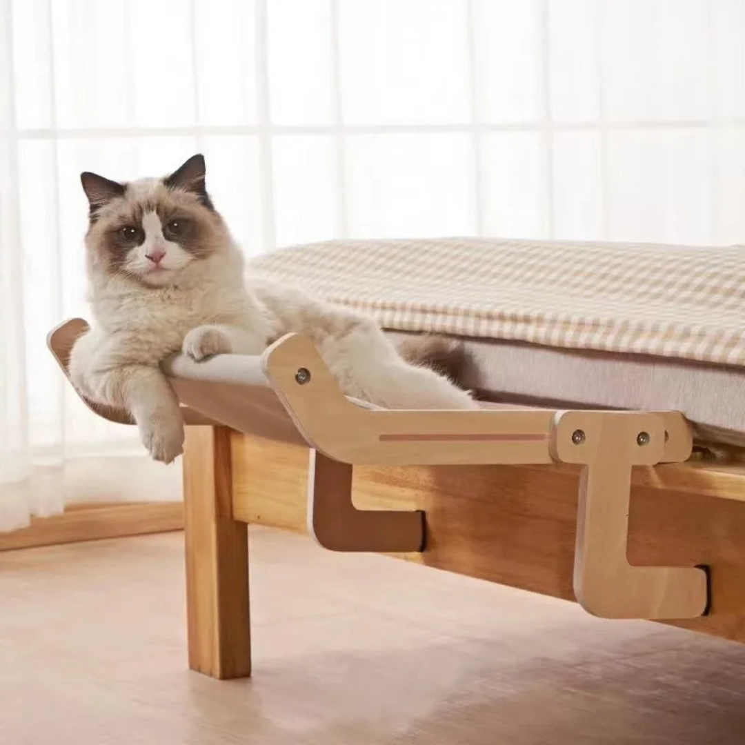 pet – 8