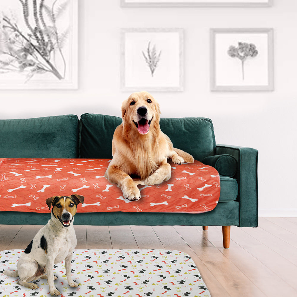 pet – 2