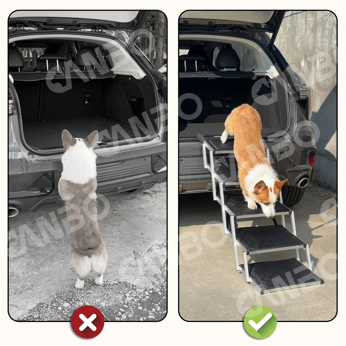 pet – 2