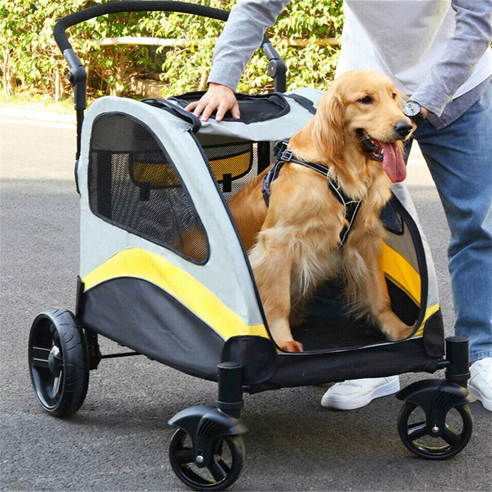 pet – 3