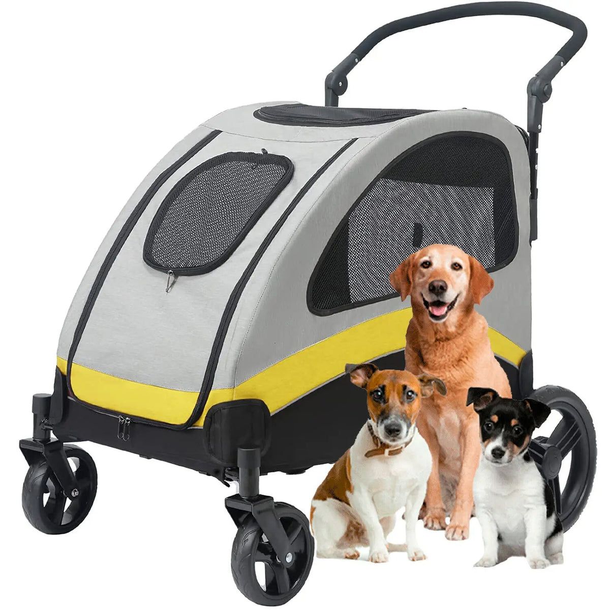 pet – 6