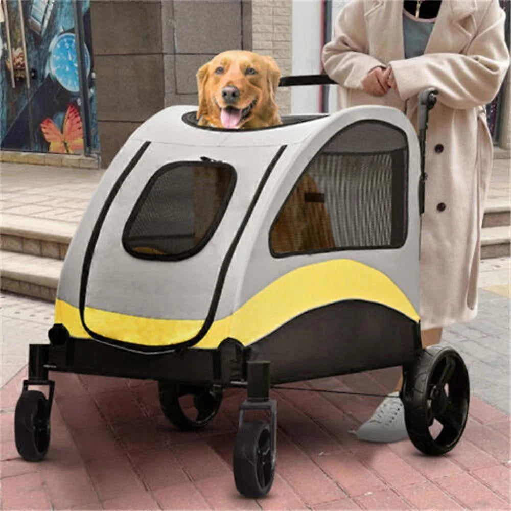 pet – 7