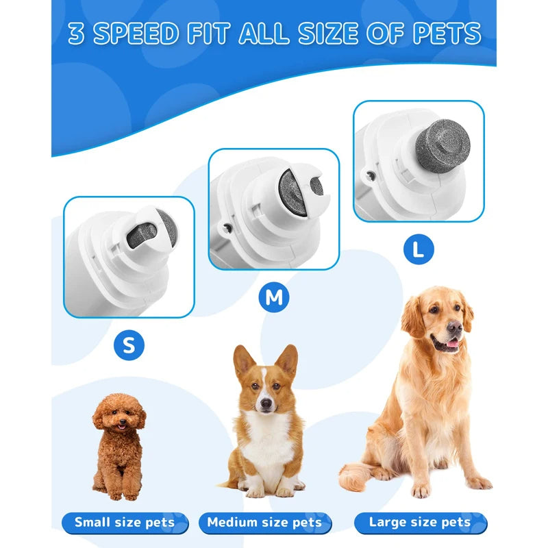 pet – 3