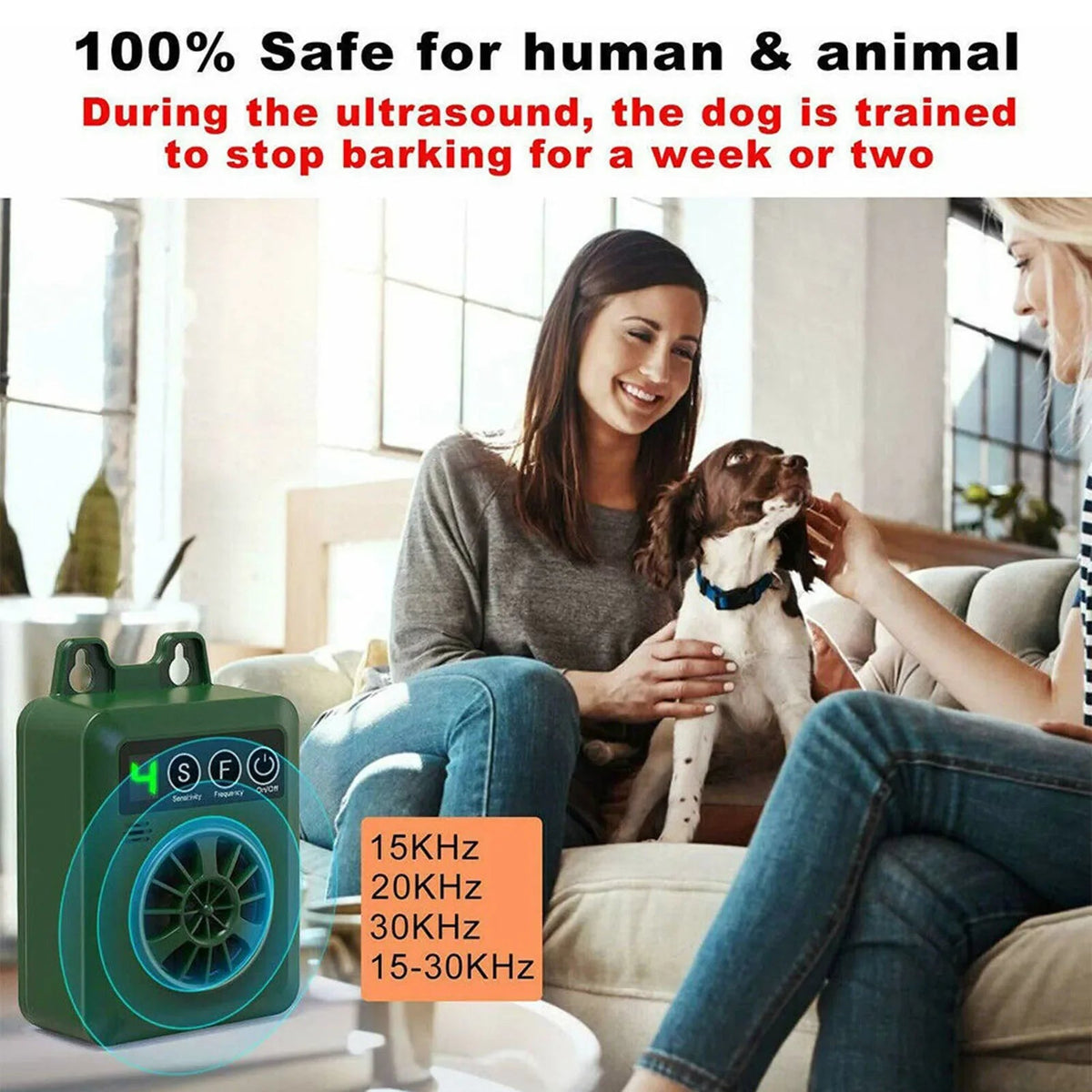 pet – 4