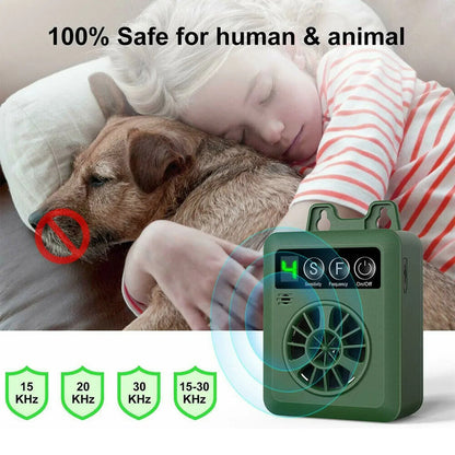 pet – 5