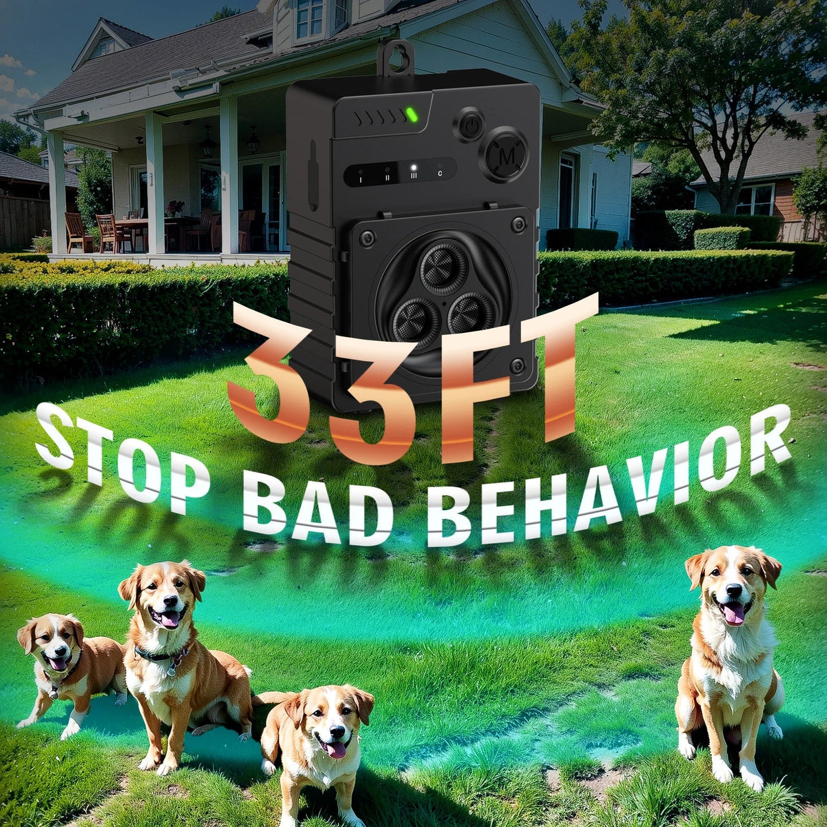 pet – 6