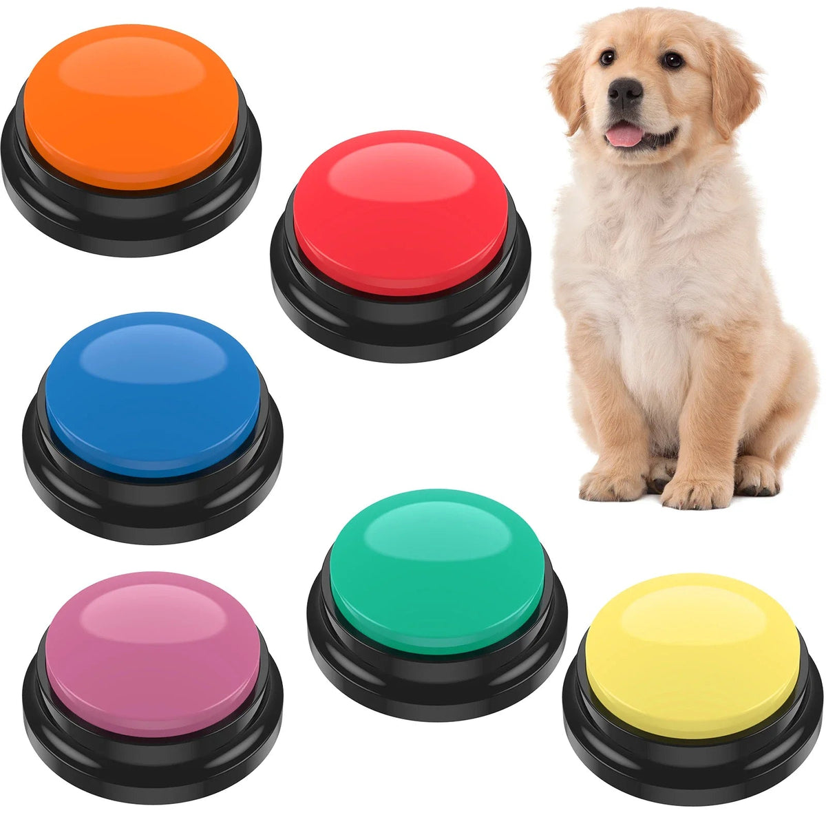 pet – 2