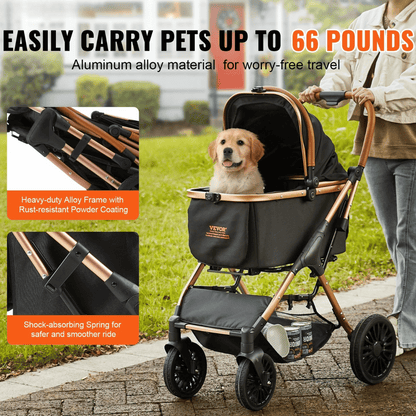 pet – 3