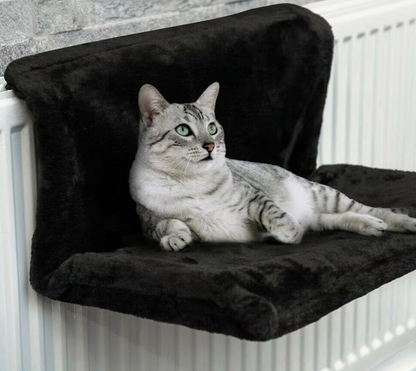 pet