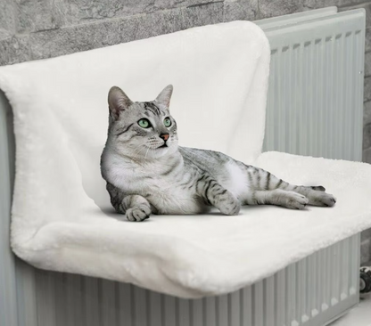 pet – 6