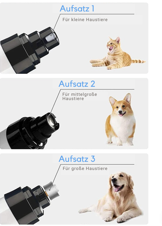 pet – 3