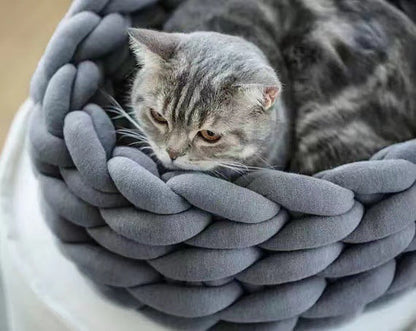 pet – 2