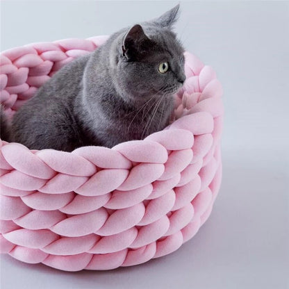pet – 4