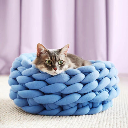 pet – 5