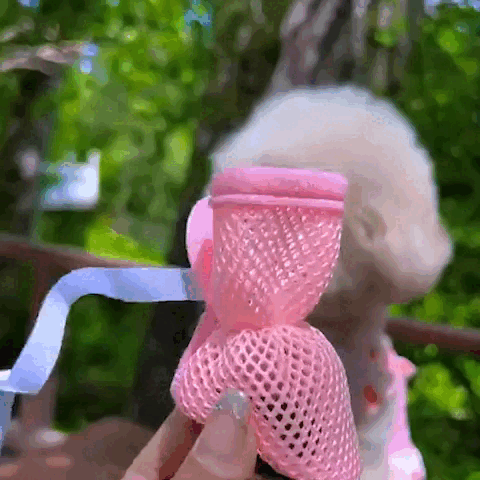 pet
