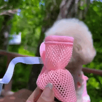 pet