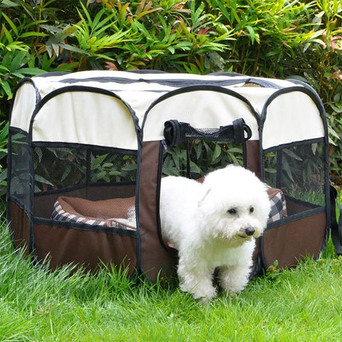 pet