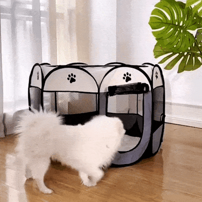 pet
