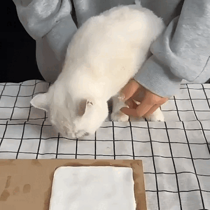 pet